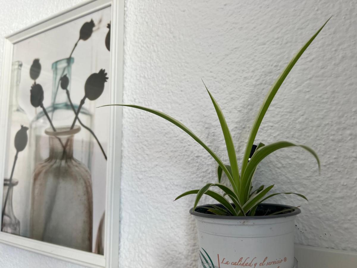 Studio 34 Valencia Ngoại thất bức ảnh